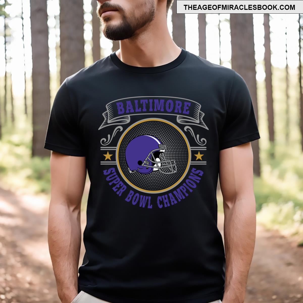 Baltimore Super Bowl Champions T-shirt