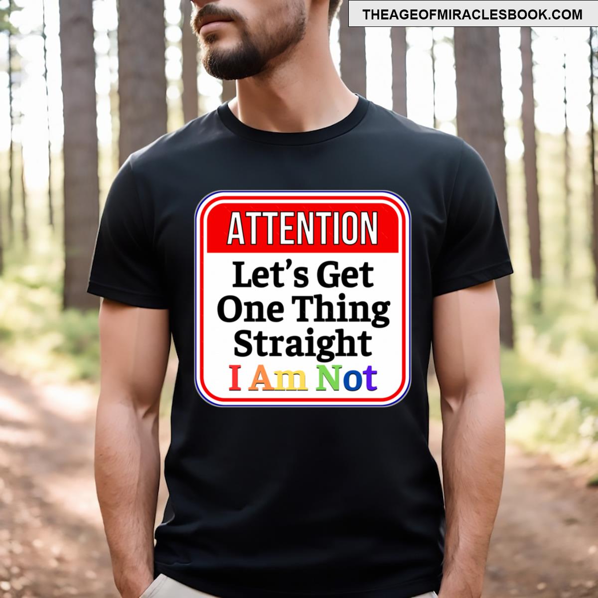 Attention Lets Get One Thing Straight I Am Not Funny Gay Warning Signs T-shirt