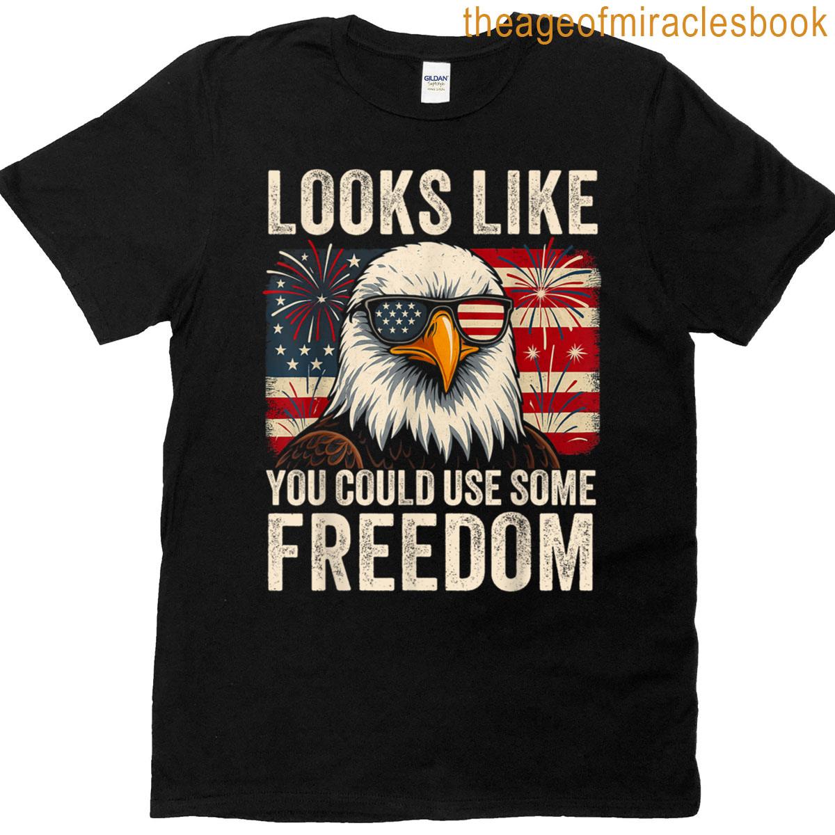 4th July Us Flag Meme Looks Like You Could Use Some Freedom T-shirt