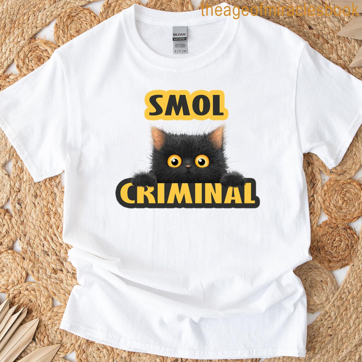 Smol Criminal Funny Black Cat Meme Design For Cat Lovers Oversized T-shirt