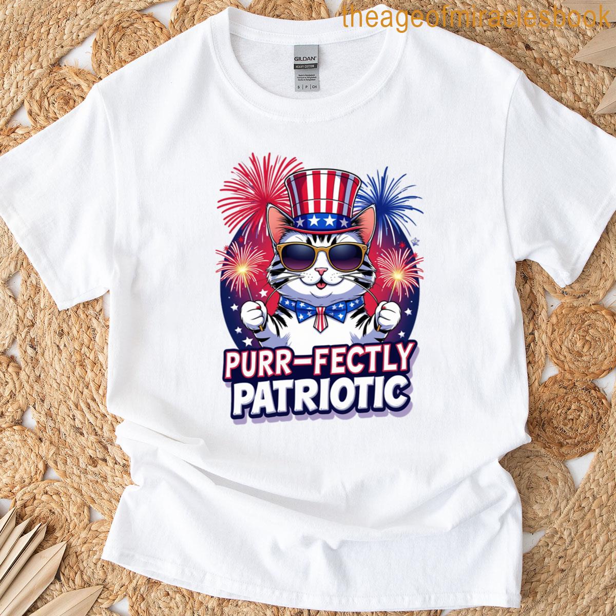 Patriotic Cat Fireworks Celebration July 4th Humor Tee T-shirt