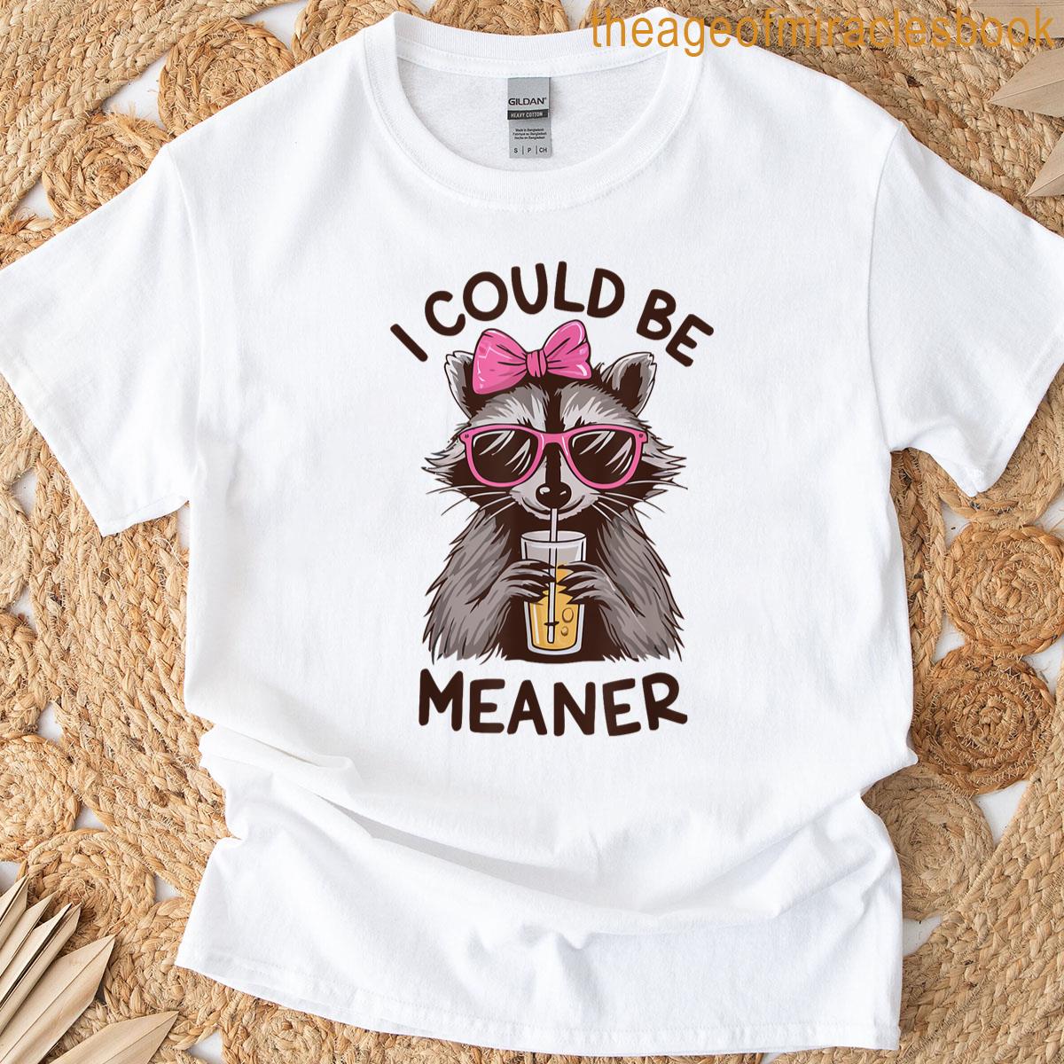 I Could Be Meaner Funny Raccoon Meme Retro Vinatge Women T-shirt
