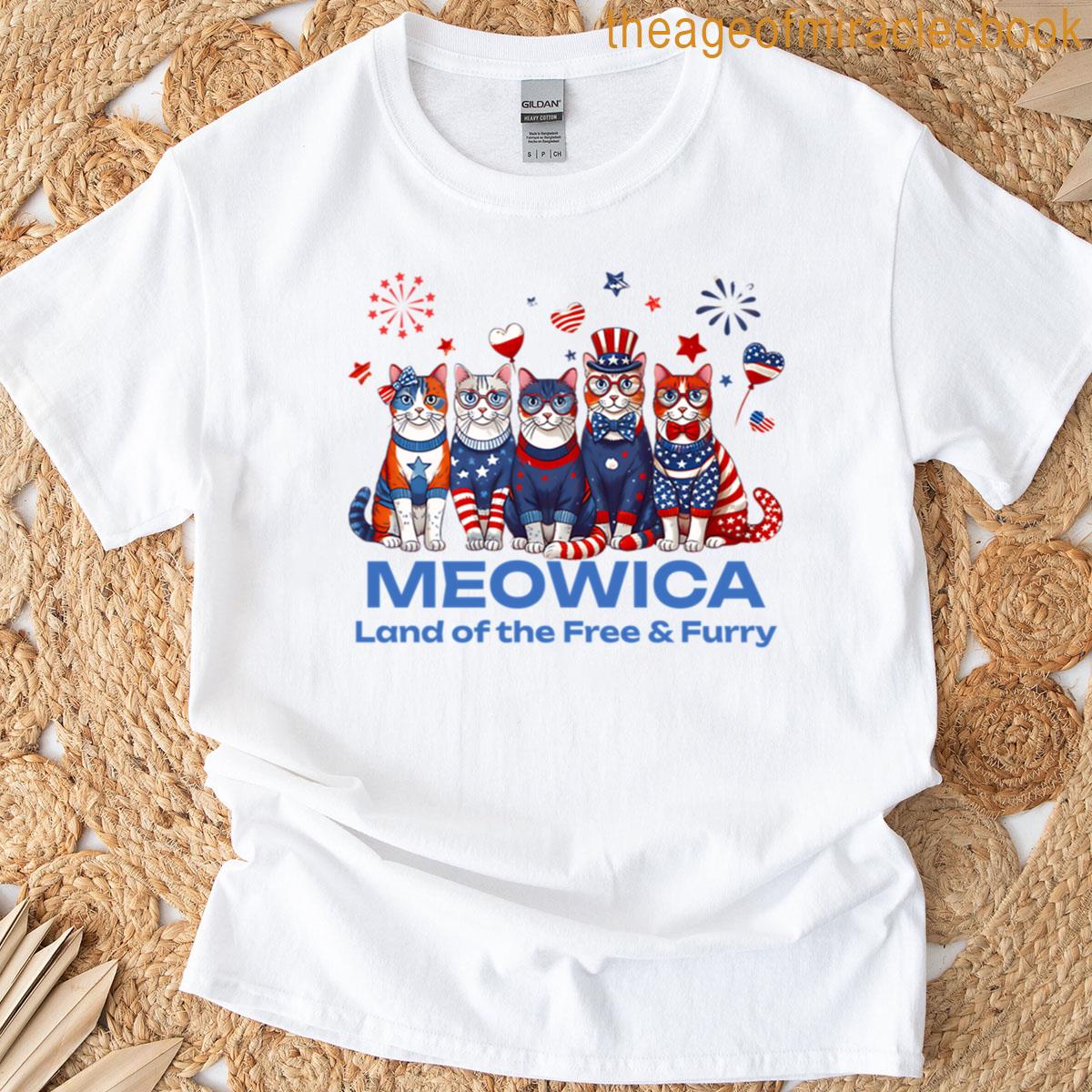 4th Of July Cat Lovers Apparel Oversized T-shirt