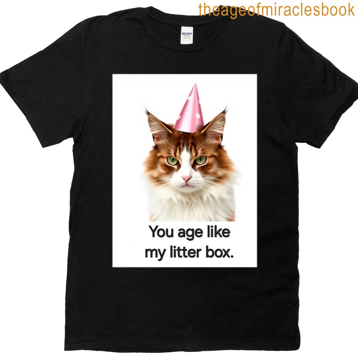You Age Like My Litter Box Birthday Funny Prank Meme Gift Weird Cat Satire T-shirt