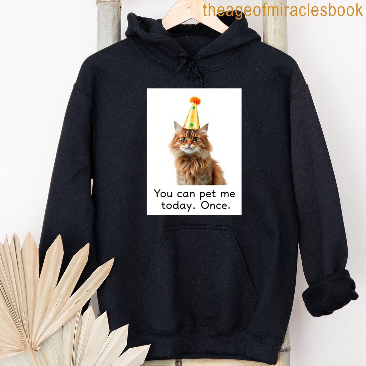 Alternative view of You Can Pet Me Today Once Birthday Funny Prank Meme Gift Weird Cat Satire T-shirt