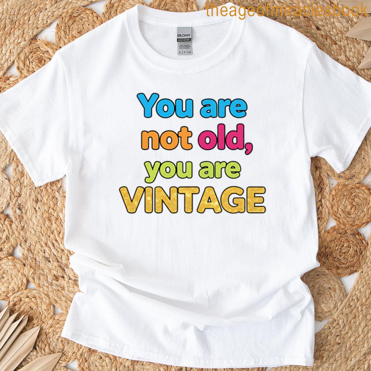 Your Are Not Old You Are Vintage Funny Birthday Gift Sarcastic Humor Retro Celebration T-shirt