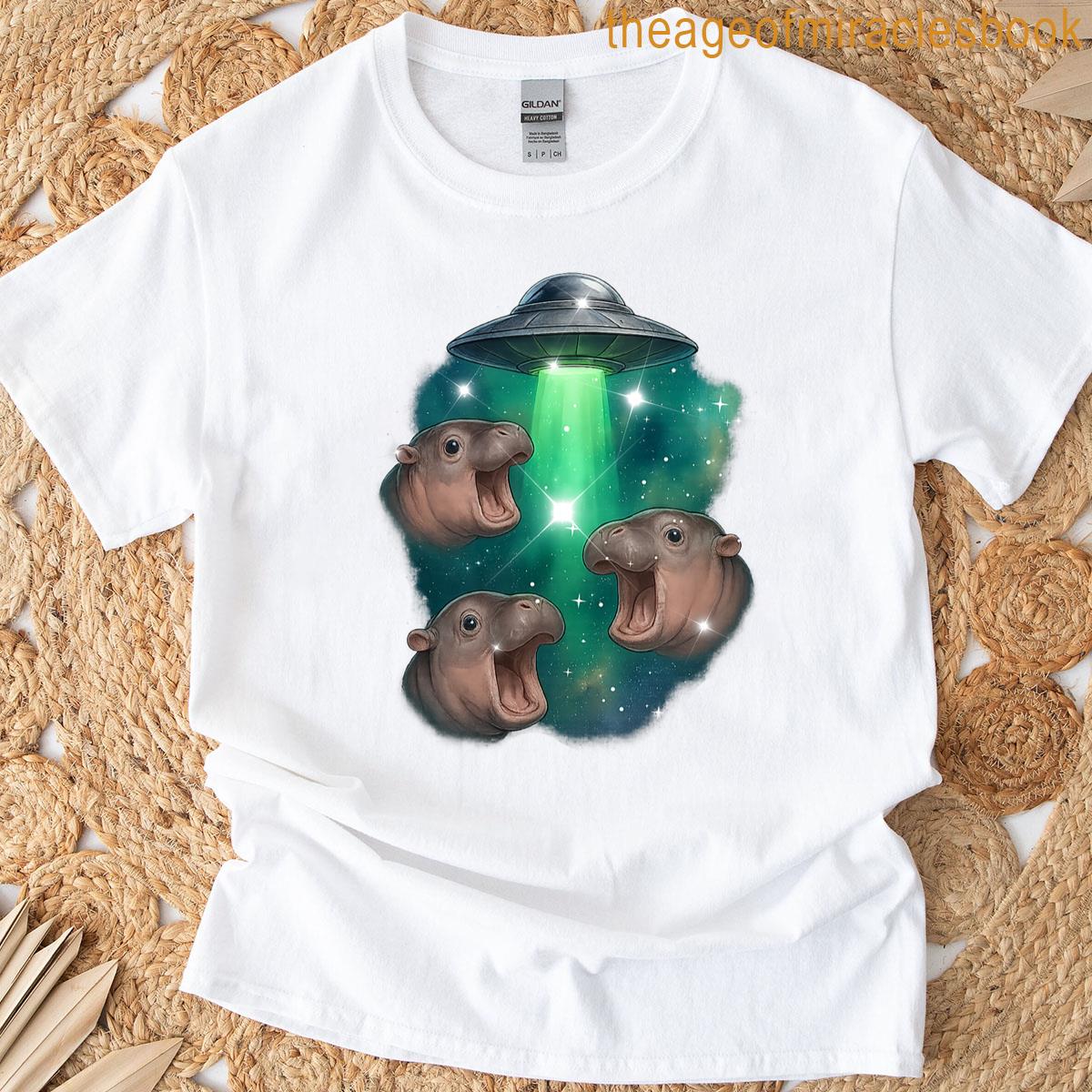 3 Baby Hippo Ufo Funny Hippopotamus Graphic Animal Lover Art Premium Tri-blend T-shirt